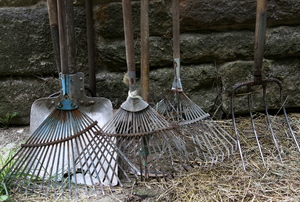 An assortment of yard tools leaning against a wall.
