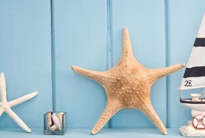 A blue wall and shelf with nautical decor including a small sailboat and starfish.
