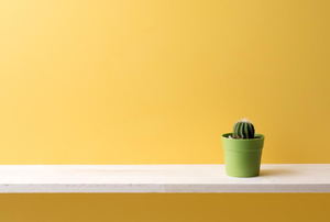 A shelf against a yellow wall with a cactus on it.