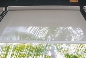 Windows with roller blinds
