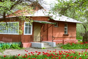 house and garden with red tulips