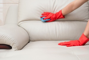 Someone cleaning white couch cushions.