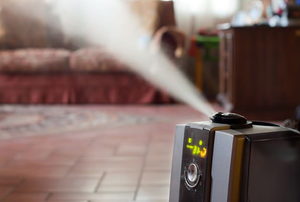 Humidifier with ionic air purifier