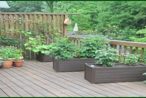 A deck with plants