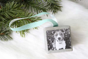 A wood Christmas ornament with a photo of a dog on it.