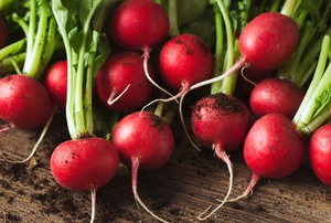 harvested radishes on a wooden table