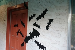 A colony of bats on a front door.