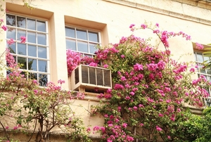 A window air conditioner.