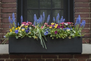 A window box.