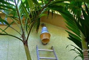 An outdoor light with a possible lizard nest in ti.