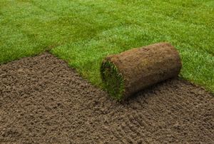 Sod being installed on soil.