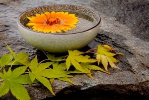 Water, stone, flowers and leaves representing yin and yang in a zen garden.