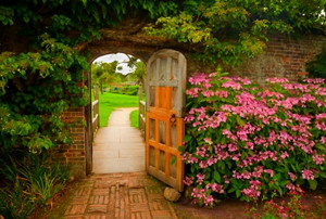 A door in a brick-walled garden in Somerset, England, with a pink hydrangea and a brick path.