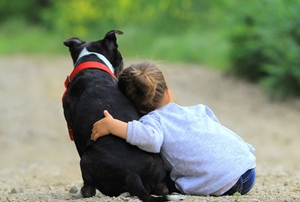 A baby and dog outside.
