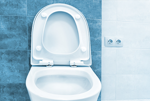 A toilet seat.