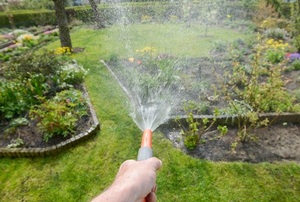 hosing lawn