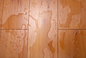 Water puddles on a wood floor. 