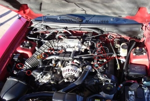 The engine under the hood of a red car.
