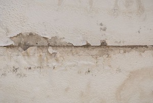 damaged wall from water