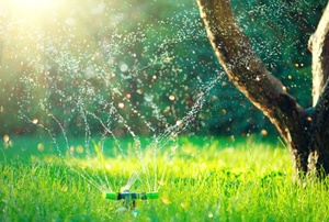 An impact sprinkler.
