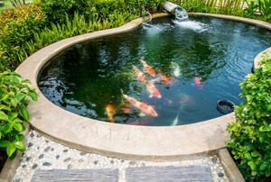An outdoor pond.