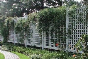 A plastic garden fence.
