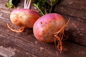 Fresh turnips on a wooden tabletop.