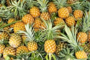 A bunch of pineapples.