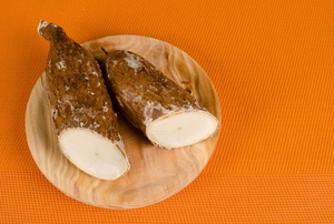 yuca in its raw vegetable form
