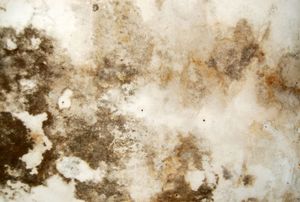 Water stained plaster