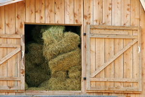 Sheds &amp; Outdoor Storage | DoItYourself.com