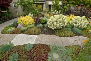A xeriscaped front yard.