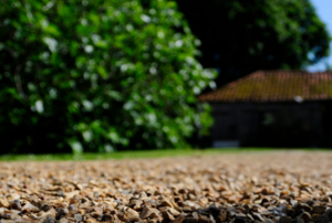 gravel area with a bush and a building behind it