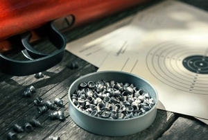 pellet rifle with pellets and a target
