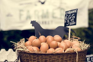 A basket of organic eggs for sale. 
