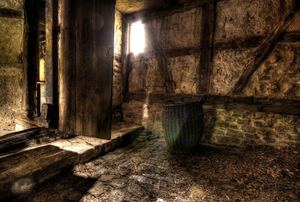 A dark crawlspace with a small window letting light in.