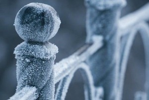 a metal fence in frost