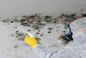 Person in protective gear treating black mold on a wall and ceiling.