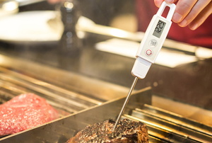 using a digital meat thermometer to check temperature