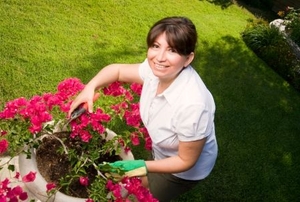 A woman tends to her potted bougainvillea.