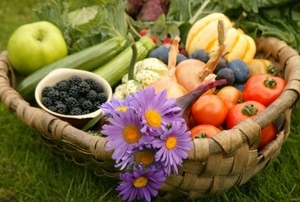 Asters in a basket with other autumn fair.