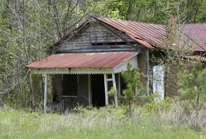 an old, disheveled house