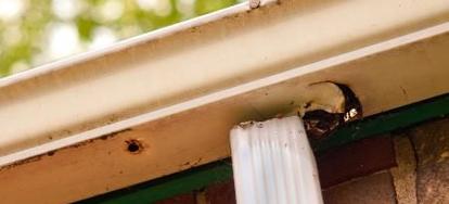 How To Test Your Gutters For Leaks Doityourself How To Test Your Gutters For Leaks