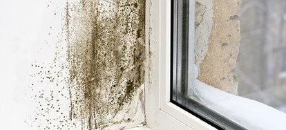 Do You Have A Sick House The Mold Air Duct Connection A Sick House Is With Serious Air Quality Problem An Area Can Be Described As Mainly Because People Who Reside Inside It For Extended