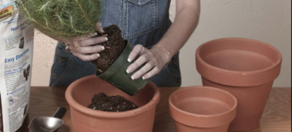 How to Drill a Hole in a Ceramic Pot | DoItYourself.com