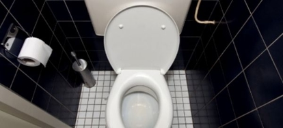 Toilet Basics: Understanding the Different Components | DoItYourself.com