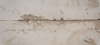 How To Locate And Eliminate Drywall Water Damage Mold How To Locate And Eliminate Drywall Water Damage Mold