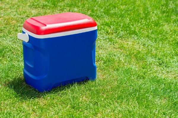 A blue cooler with a red top sitting on the grass. 