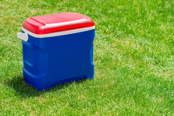 A blue cooler with a red top sitting on the grass. 