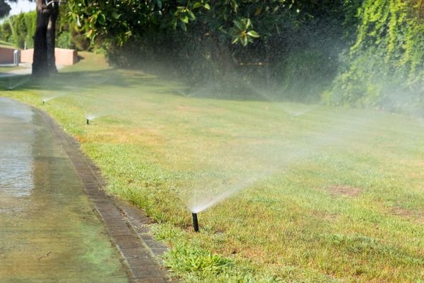 sprinklers along grass and road